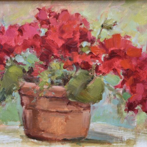 Red Geraniums